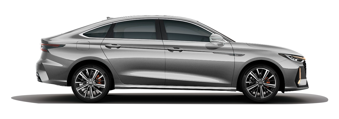 СЕРЕБРИСТЫЙ СЕРЫЙ